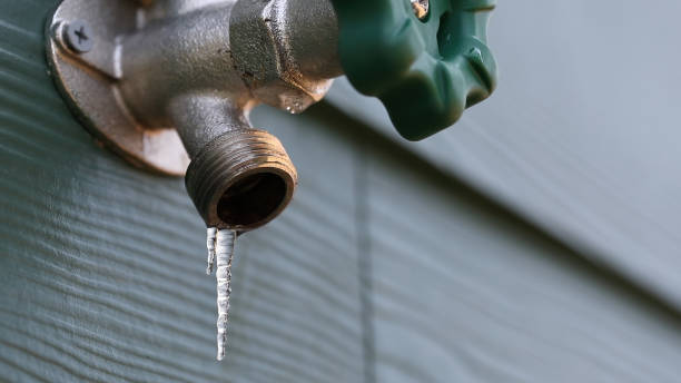 Best Plumbing Inspection Services  in Champaign, IL